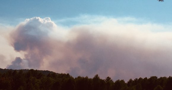 Deux personnes ont perdu la vie et des milliers d'hectares de forêts ont été ravagées par les flammes. Photo prise du Muy dans le Var, le 18 août 2021. (Photo : Suzanne Durand/ The Epochtimes)