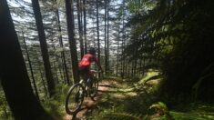 Haute-Savoie : des centaines de clous biseautés plantés sur des chemins en forêt pour « dissuader » randonneurs et vététistes