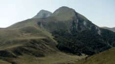 Pyrénées : Mathilde, une bergère de 21 ans, vit seule dans une cabane et gère 1 300 brebis