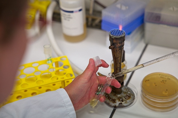 L'université de Tours et l'INRAE ont annoncé le 9 septembre 2021 la conception d'un candidat vaccin en spray nasal contre le Covid-19. (Photo : GUILLAUME SOUVANT/AFP via Getty Images)