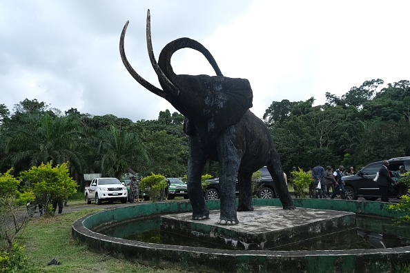 La réserve de biosphère d'Oban est la plus grande forêt tropicale du Nigéria et un paradis de gorilles en voie de disparition, d'éléphants et d'autres espèces au sud-est du pays, le 12 septembre 2021. Photo de Kola Sulaimon / AFP via Getty Images.