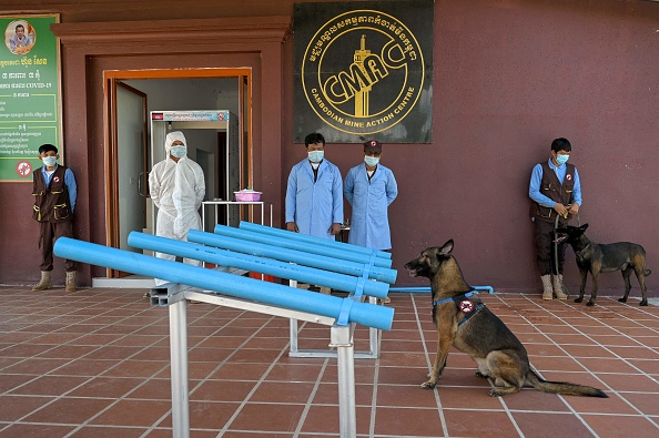 -Dans la province de Kampong Chhnang, les autorités cambodgiennes anti-mines forment des chiens à détecter Covid19, le 27 septembre 2021. Photo de TANG CHHIN Sothy / AFP via Getty Images.