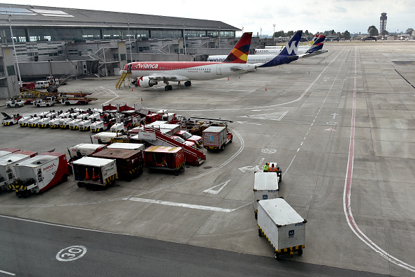 Des ailerons de requins ont été saisis à l’aéroport de Bogota. Photo de Guillermo Legaria/Getty Images.