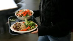 Bas-Rhin : une apprentie fait un malaise après avoir été privée de repas à la cantine, faute de crédit sur sa carte