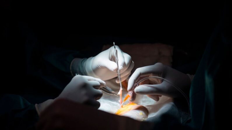 Des médecins préparent une transplantation rénale sur une photo d'archive. (Pierre-Philippe Marcou/AFP/Getty Images)