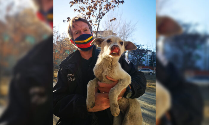 Photo non datée de Pen Farthing, fondateur de l'organisation caritative de sauvetage des animaux Nowzad. (Nowzad/Handout via PA)