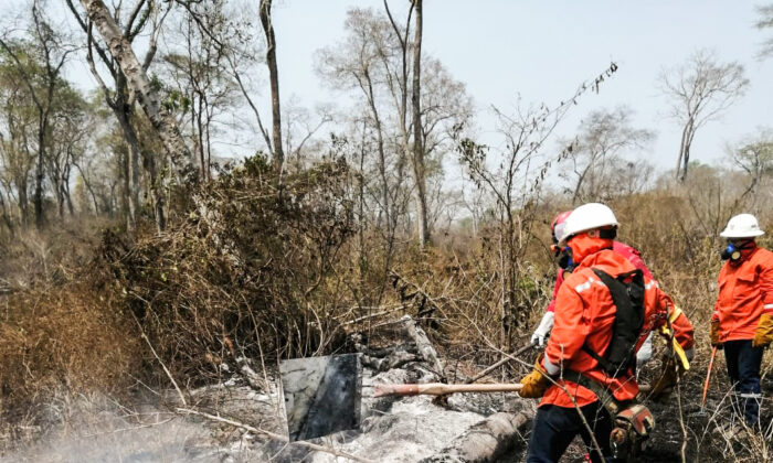 Des pompiers éteignent un brasier près de Robore, dans le département de Santa Cruz, en août 2019. (Cesar Calani Cosso/Epoch Times) 