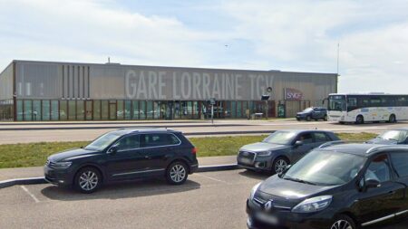 Calvados : des chèvres effrayées par la tempête Aurore se réfugient dans une gare