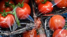 France : au 1er janvier 2022, fin des emballages plastiques des fruits et légumes