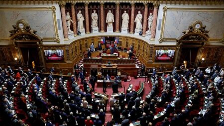 Pass sanitaire : le Sénat veut imposer une « clause de revoyure »