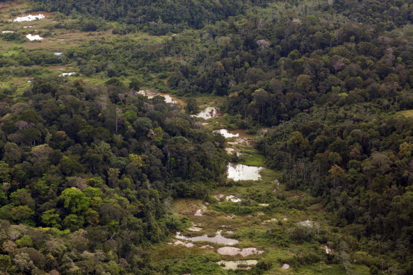 Pierre-Olivier Antoine a dirigé l'expédition qui a identifié le squelette fossilisé d'un paresseux géant, au sud du bourg de Maripasoula, près du Maroni qui marque la frontière avec le Suriname. (Photo JEROME VALLETTE/AFP/GettyImages)