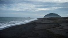 Des navires fantômes de la Seconde Guerre mondiale sont apparus sur une île née de l’éruption d’un volcan au Japon