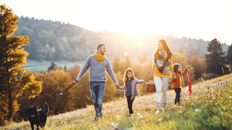 Voilà une bonne période pour faire de l'exercice en douceur, comme une promenade tôt le matin. (Halfpoint/Shutterstock)