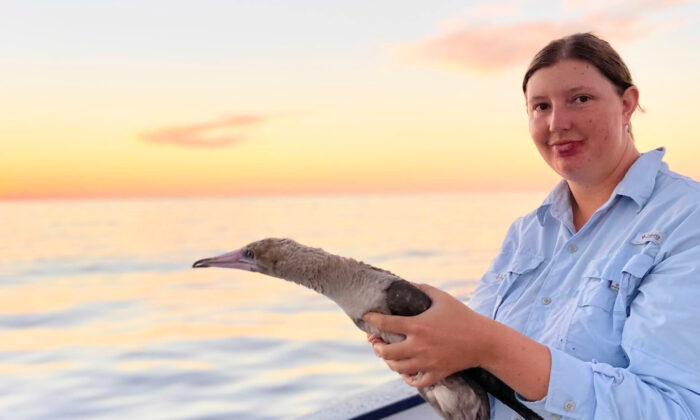 Bianca Keys à bord d'un navire scientifique avec un fou à pieds rouges. (Kaarel Raia) 