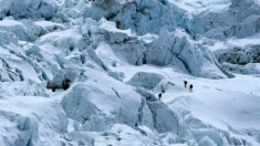 Népal : les secouristes rejoints par des guides de montagnes expérimentés