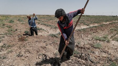 Diplomatie de la famine : comment les pénuries alimentaires pourraient changer la face du monde