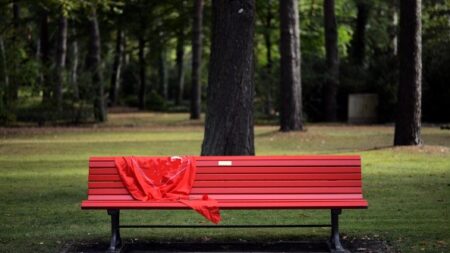 Loire : elle veut installer un banc rouge à Sorbiers, en mémoire de sa sœur tuée de 66 coups de couteau