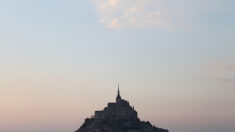 Mont Saint-Michel : ce tout petit oiseau, qui arrive de Sibérie, a parcouru 7500 kilomètres