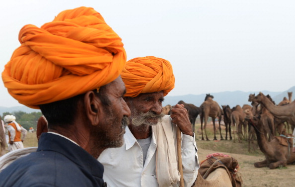 -Des bergers indiens se tiennent près de leur bétail dans un champ à la foire aux chameaux de Pushkar le 9 novembre 2013. Photo Sajjad HUSSAIN/AFP via Getty Images.