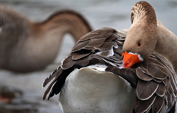 Illustration  ( KARL-JOSEF HILDENBRAND/DPA/AFP via Getty Images)