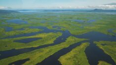 « Nous ne pouvons pas vivre dans un monde sans Amazonie », dit une scientifique