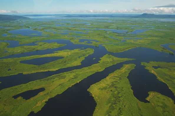 Vue aérienne des zones humides du Pantanal, dans l'État du Mato Grosso, au Brésil, le 8 mars 2018. Photo Carl de SOUZA/AFP via Getty Images.