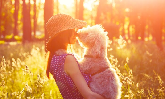 La lumière du soleil a un effet direct sur notre rythme circadien et sur les centres de l'humeur dans le cerveau (Alina Kruk/Shutterstock)