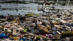 Isère : Gaspard Forest, le dépollueur bénévole des rivières, est décédé