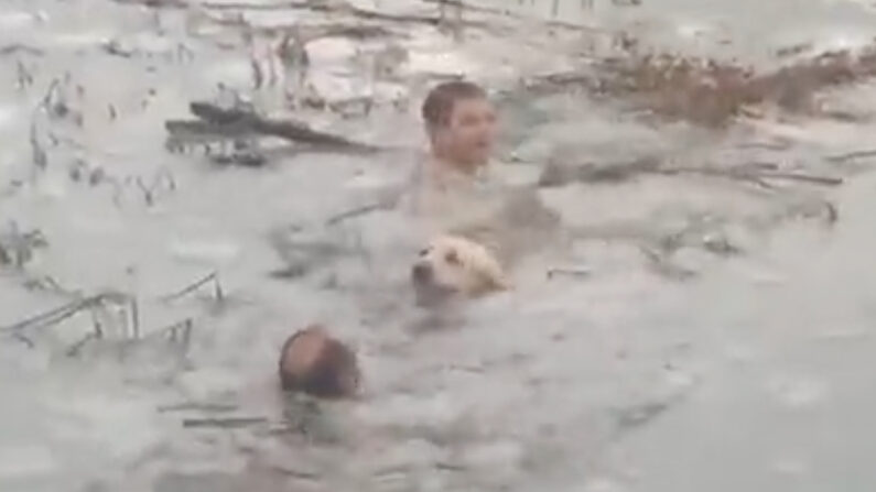 Les deux policiers n'ont pas hésité à se lancer à l'eau sans combinaison de plongée pour sauver l'animal. (Guardia Civil/Twitter)