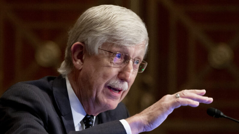 Le Dr Francis Collins, directeur des National Institutes of Health, comparaît devant le Sénat lors d'une audience consacrée aux vaccins, à Washington, le 9 septembre 2020. (Michael Reynolds/Pool/Getty Images)