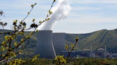 Électricité : EDF arrête des réacteurs nucléaires de la centrale de Chooz dans les Ardennes