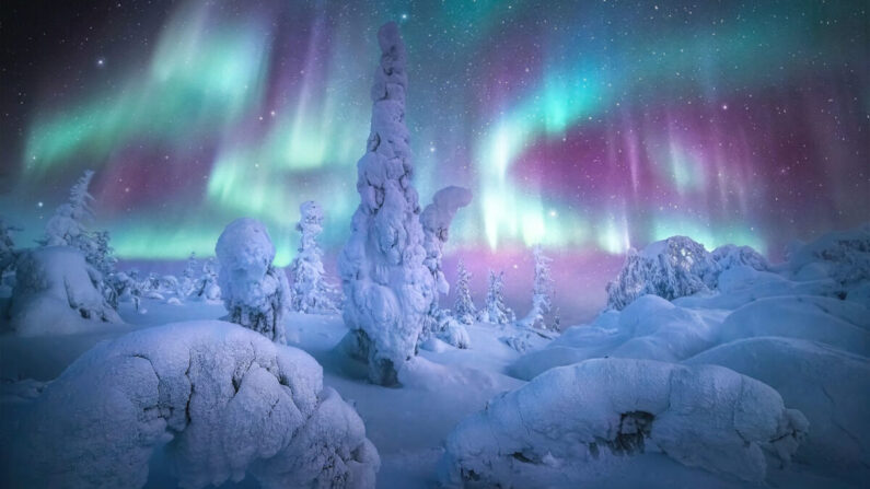 (Avec l'aimable autorisation de Marc Adamus via Capture the Atlas)