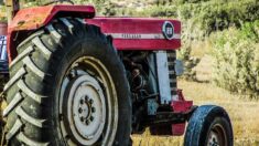 Manche : ivre au volant de son tracteur, un agriculteur en slip prend la fuite après avoir causé un accident