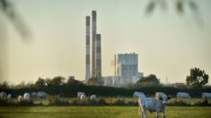 La France va devoir faire fonctionner ses centrales à charbon cet hiver, faute de nucléaire