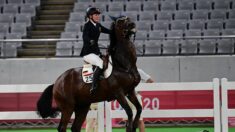 Pentathlon moderne: l’affaire de maltraitance d’un cheval à Tokyo définitivement classée