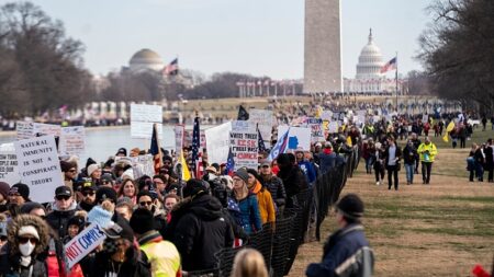 Manifestation à Washington contre « la tyrannie » des obligations vaccinales