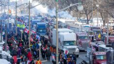 « Le Convoi de la Liberté » contre les mesures sanitaires se prépare en Europe