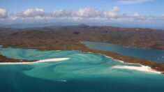 L’Australie investit dans la protection de la Grande barrière de corail