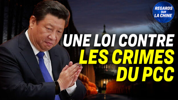 Focus sur la Chine – Une action contre les crimes commis par le PCC