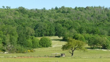 En Normandie, un couple d’agriculteurs plante 2.500 arbres autour de sa ferme « pour les générations futures »