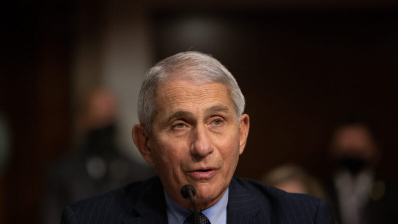 Le Dr Anthony Fauci, directeur de l'Institut national des allergies et des maladies infectieuses, apporte son témoignage devant la Commission sénatoriale de la santé, de l'éducation, du travail et des pensions au Capitole, à Washington, le 23 septembre 2020. (Graeme Jennings- Pool/Getty Images)