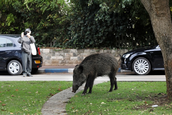 Illustration  (MENAHEM KAHANA/AFP via Getty Images)