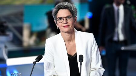 Sandrine Rousseau: « Ça me déprime de faire de la politique dans des groupes de Ku Klux Klan »