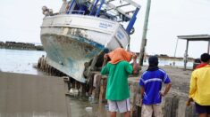 Tonga: le variant Omicron a fait son apparition après l’éruption volcanique