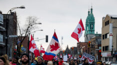 « Convoi de la liberté » : fin du pass vaccinal au Québec, assouplissement des restrictions sanitaires au Canada