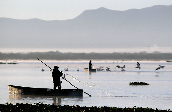 -Un pêcheur travaille au barrage de Teuchitlan où le poisson Tequila est revenu pour une réintroduction réussie dans son habitat naturel, Mexique, le 15 février 2022. Photo par ULISES RUIZ/AFP via Getty Images.