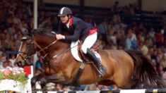 Hippisme : le vibrant hommage à la star normande des chevaux de sport, Diamant de Semilly, mort à 31 ans