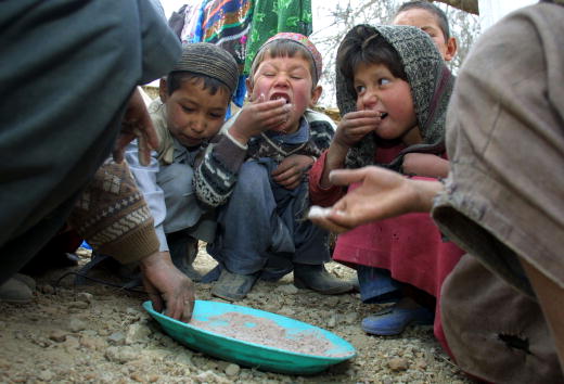 -Des enfants réfugiés afghans mangent du Talkhan, un mélange en poudre de noix et de sucre, dans un nouveau camp de réfugiés en Afghanistan. Photo de Paula Bronstein/Getty Images.