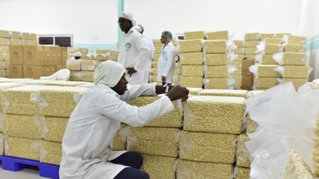 La Côte d’Ivoire devient 3e exportateur mondial d’amande de cajou