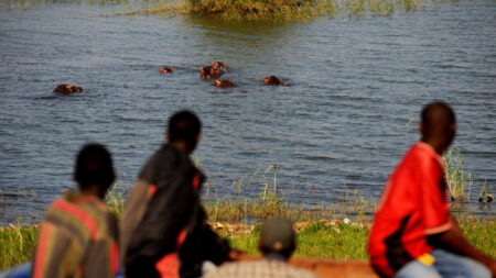 Humains et hippopotames, apprendre à vivre ensemble en RDC